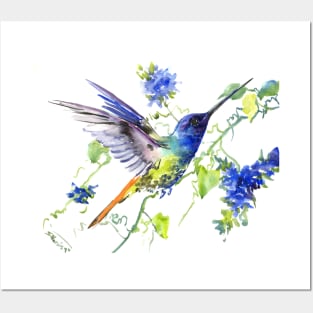 Flying Hummingbird and Blue Flowers Posters and Art